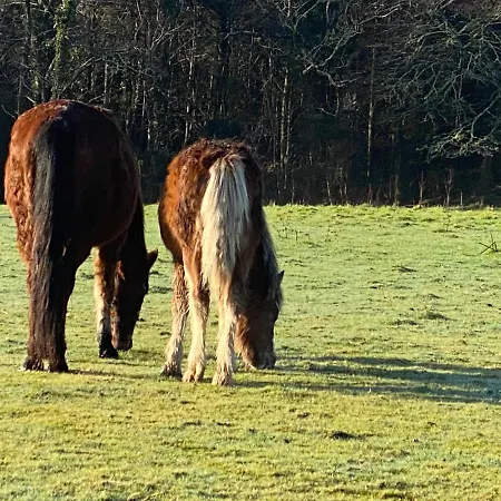 Prázdninový dům Seaside
