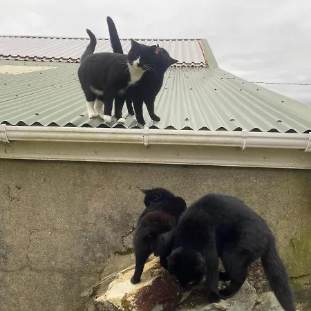 Seaside Σπίτι διακοπών Knights Town