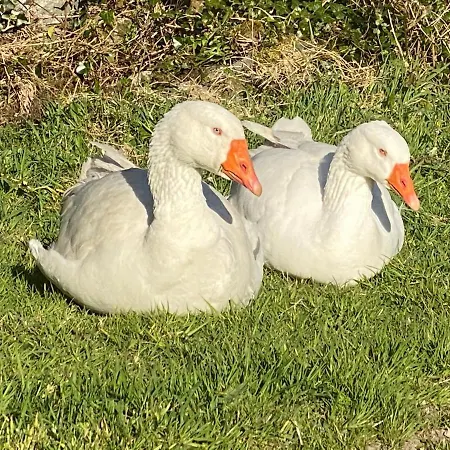 Seaside Prázdninový dům Knights Town