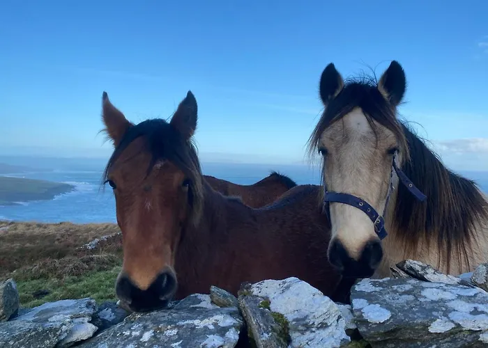 Seaside Ferienhaus Knights Town
