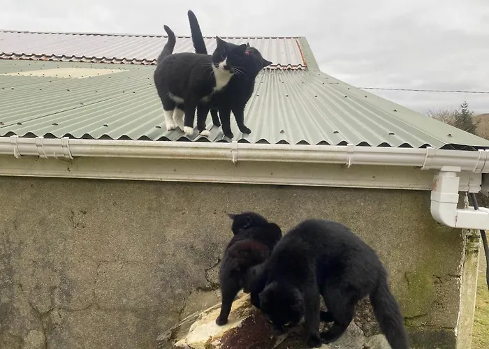 Seaside Ferienhaus Knights Town